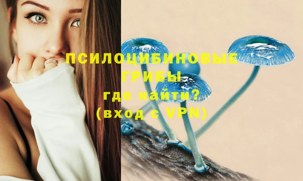мяу мяу мука Алексин
