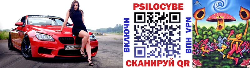 Галлюциногенные грибы Cubensis  блэк спрут как войти  это официальный сайт  Хадыженск 